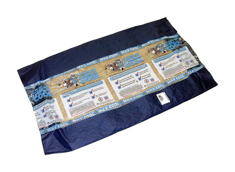 Dial 28 in. H X 32 in. W Beige Long Strand Excelsior Aspen Pad