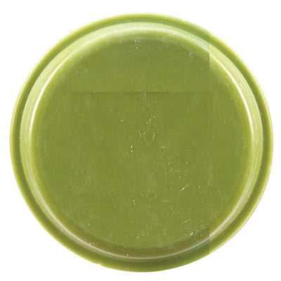 Advanced Drainage Systems 3 in. Snap Polyethylene 3 in. End Plug