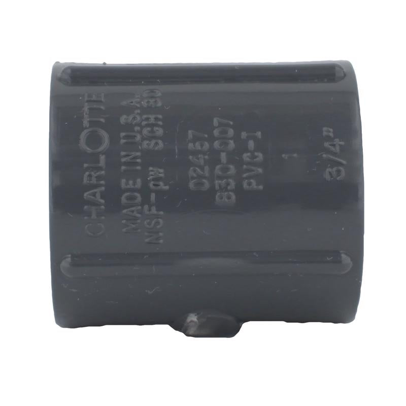 Charlotte Pipe Schedule 80 1/2 in. FPT X 1/2 in. D FPT PVC Coupling
