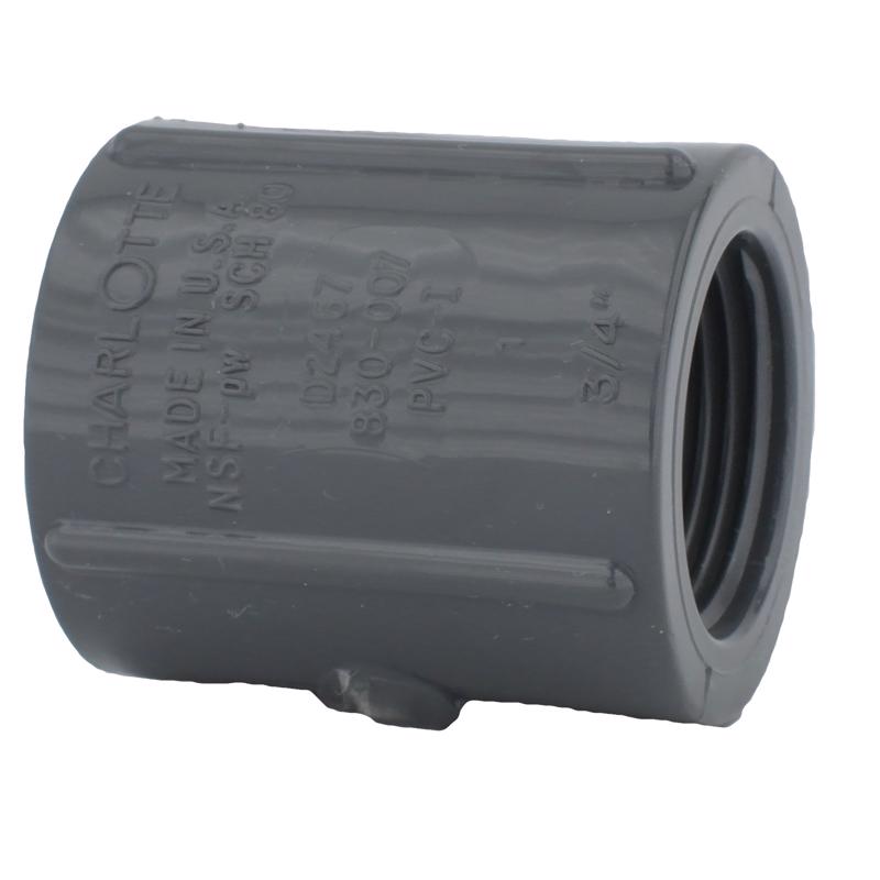 Charlotte Pipe Schedule 80 3/4 in. FPT X 3/4 in. D FPT PVC Coupling