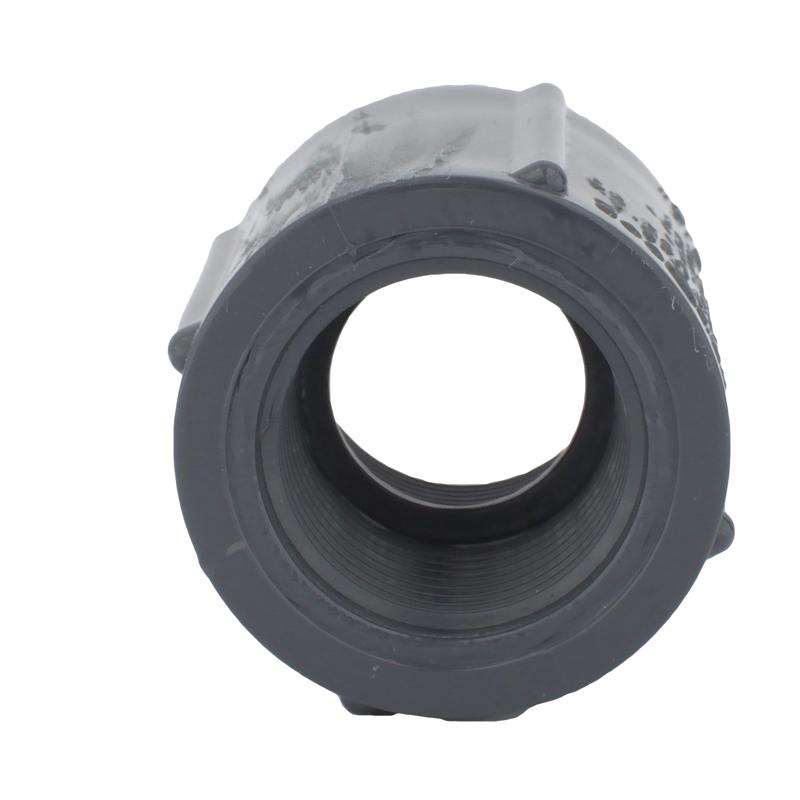 Charlotte Pipe Schedule 80 3/4 in. FPT X 3/4 in. D FPT PVC Coupling