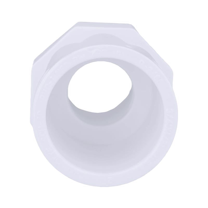 Charlotte Pipe Schedule 40 3/4 in. Slip X 1/2 in. D FPT PVC Pipe Adapter
