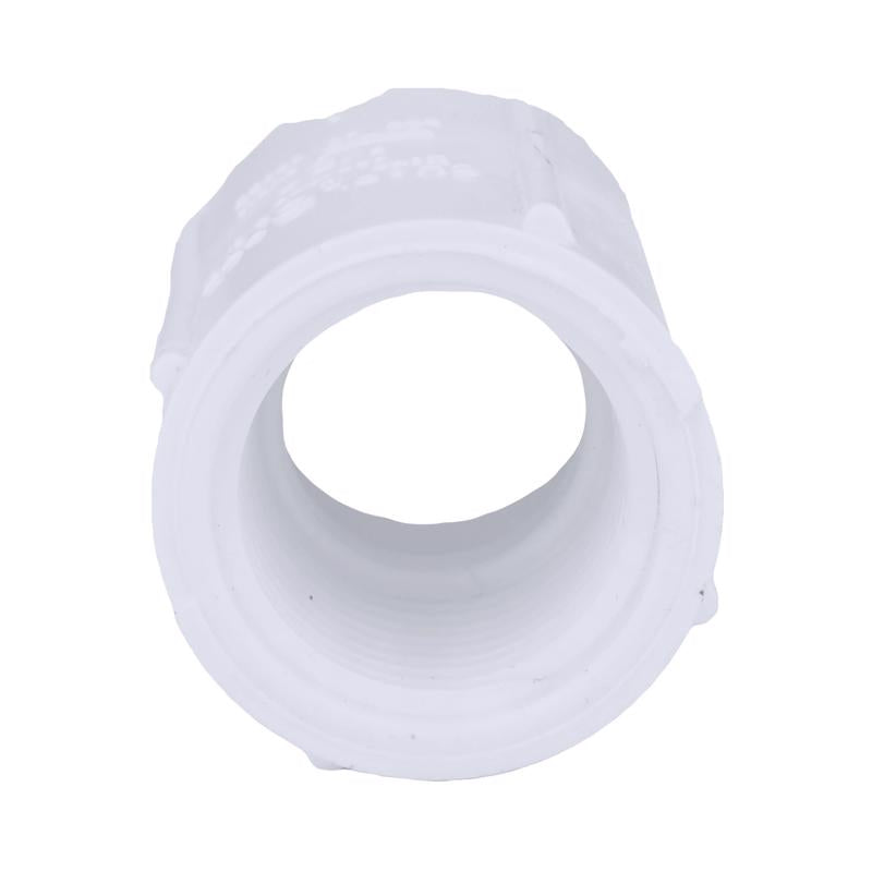 Charlotte Pipe Schedule 40 3/4 in. Slip X 1 in. D FPT PVC Pipe Adapter