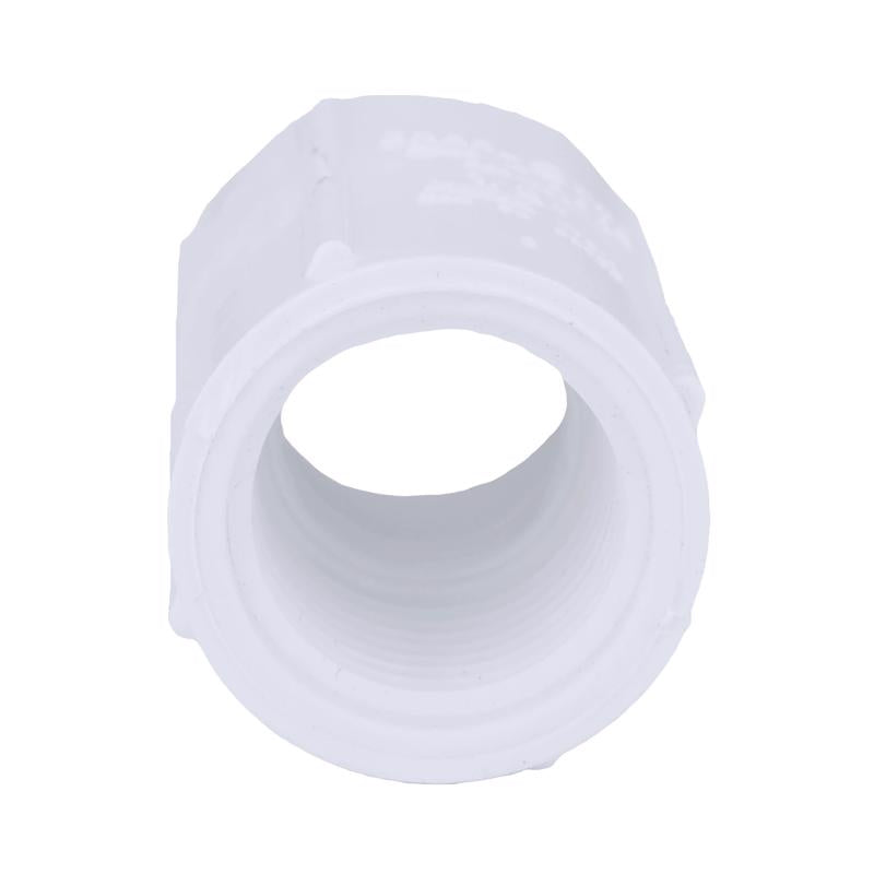 Charlotte Pipe Schedule 40 3/4 in. Slip X 1 in. D FPT PVC Pipe Adapter
