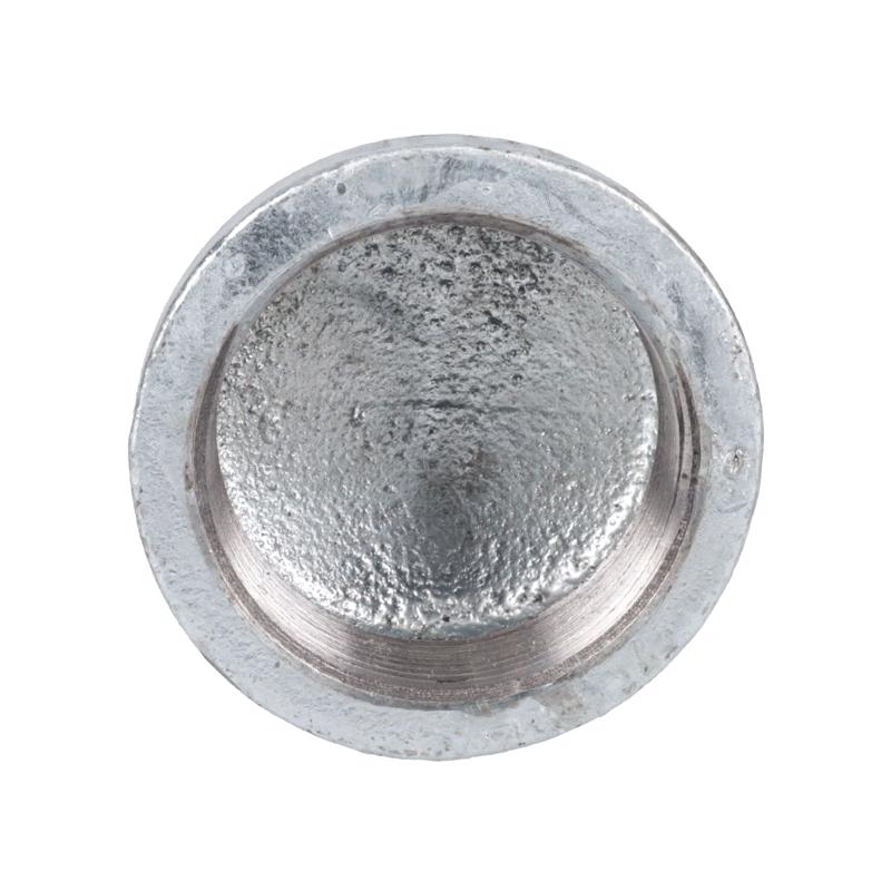 STZ Industries 2 in. FIP each Galvanized Malleable Iron Cap