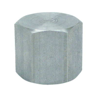 Anvil 1/8 in. FPT Malleable Iron Cap