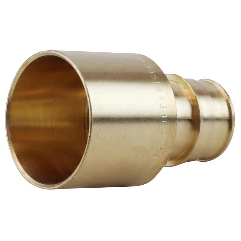 Apollo Expansion PEX / Pex A 3/4 in. Expansion PEX in to X 1 in. D PEX Brass Female Adapter