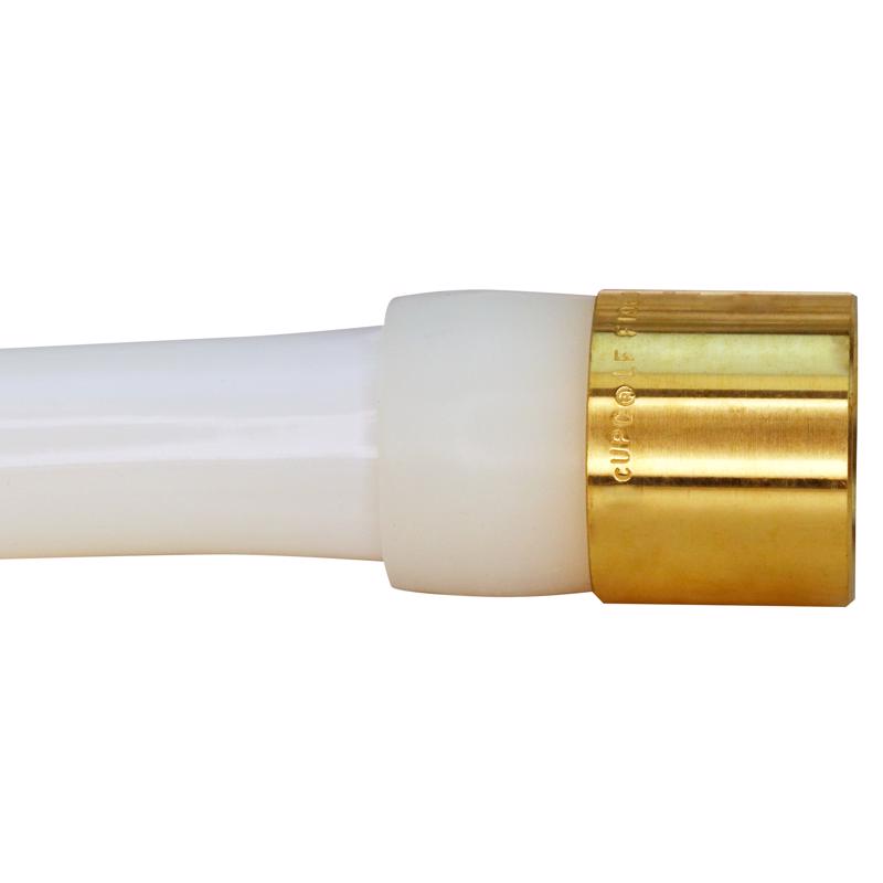 Apollo Expansion PEX / Pex A 3/4 in. Expansion PEX in to X 1 in. D PEX Brass Female Adapter