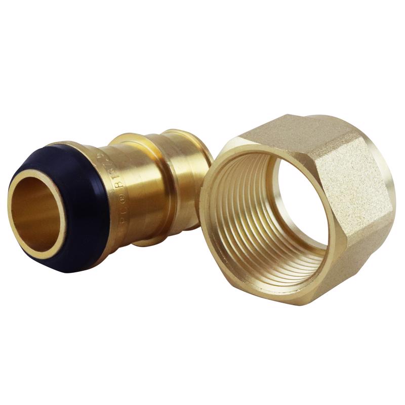 Apollo Expansion PEX / Pex A 3/4 in. Expansion PEX in to X 3/4 in. D FPT Brass Female Adapter