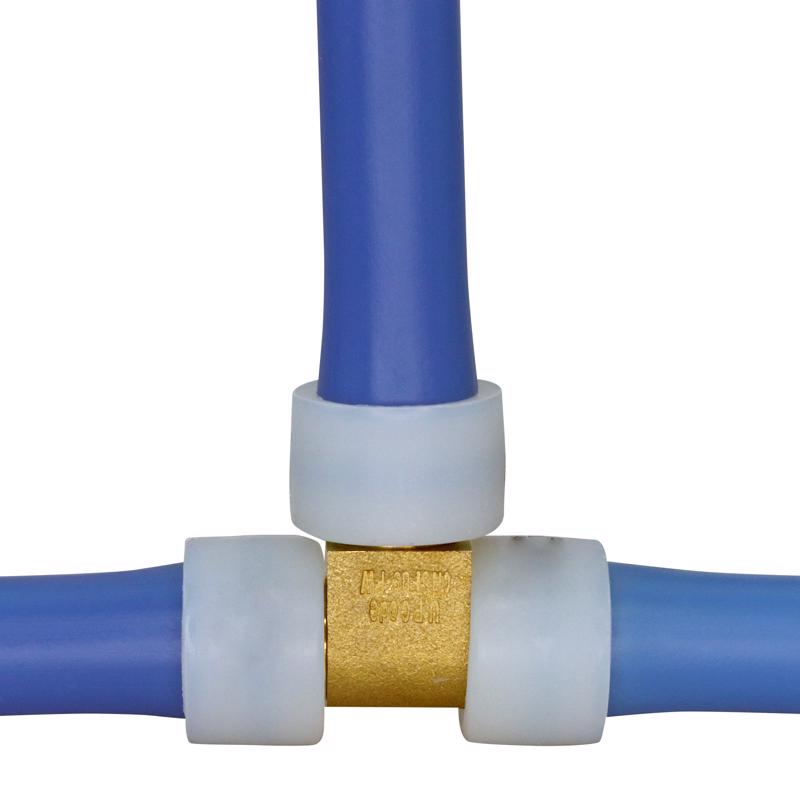 Apollo Expansion PEX / Pex A 1 in. Expansion PEX in to X 1 in. D PEX Brass Tee