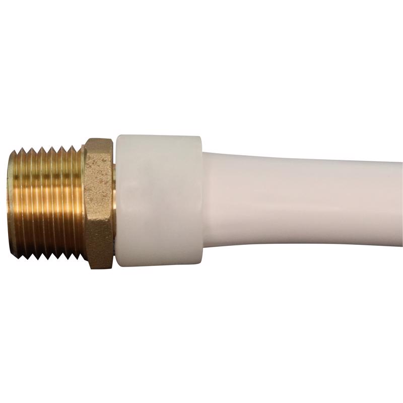 Apollo Expansion PEX / Pex A 1 in. Expansion PEX in to X 1 in. D MPT Brass Male Adapter