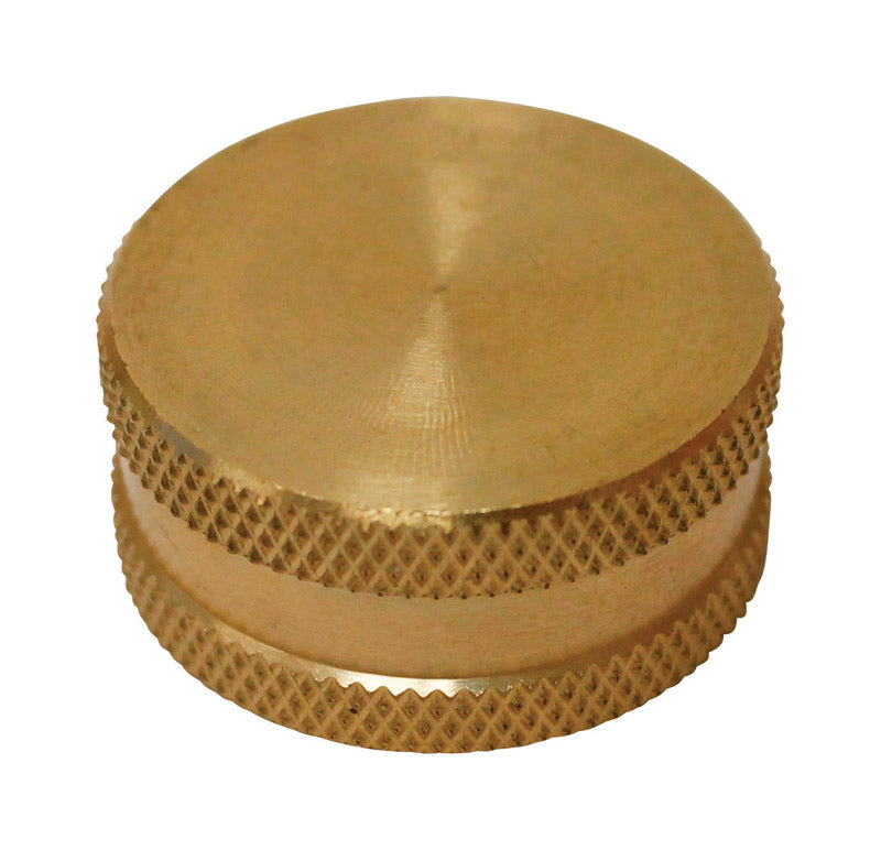 Plumb Pak Brass 3/4 in. D X 3/4 in. D Hose Cap with Washer