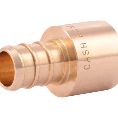 SharkBite 1/2 in. FPT X 1/2 in. D FPT Brass Female Adapter