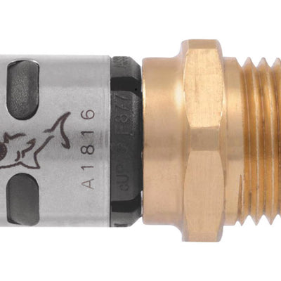 SharkBite EvoPEX 1/2 in. Push X 1/2 in. D MPT Brass Adapter