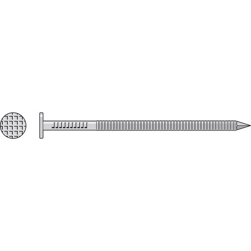 Simpson Strong-Tie 8D 2 in. Deck Coated Stainless Steel Nail Round Head 25 lb