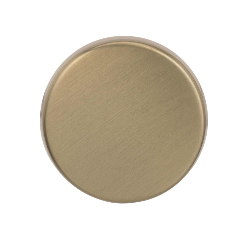 Amerock Blackrock Collection Oblong Cabinet Knob 1-5/8 in. D 1-5/16 in.