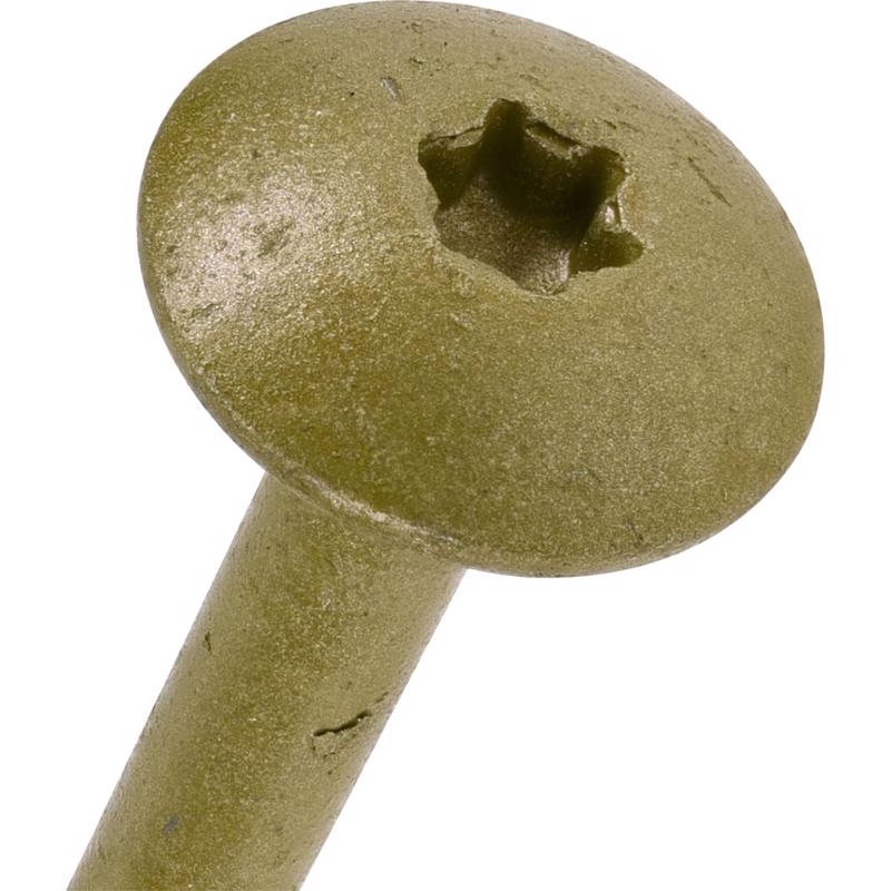 HILLMAN Power Pro 5/16 in. X 8 in. L Star Steel Lag Screw