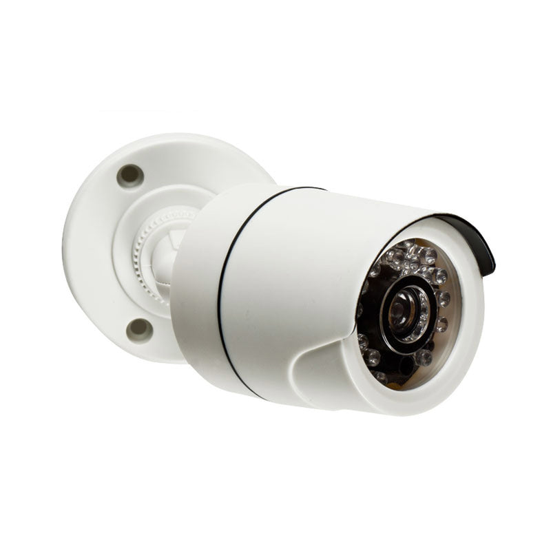 Sabre Outdoor Smart-Enabled Decoy Security Camera