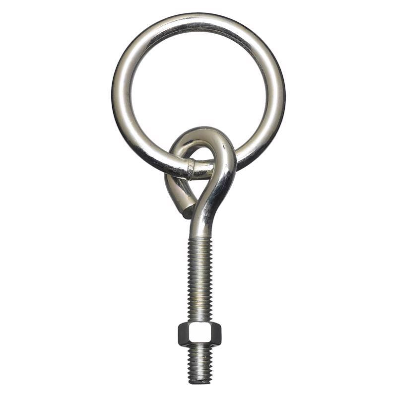 National Hardware Small Zinc-Plated Silver Steel 3-3/4 in. L Ring with Eye Bolt 160 lb