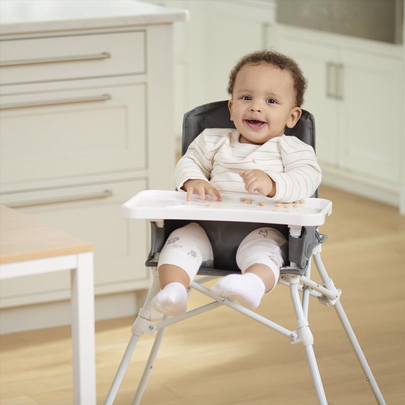 Regalo My Portable High Chair Gray Metal/Nylon Portable Booster Seat