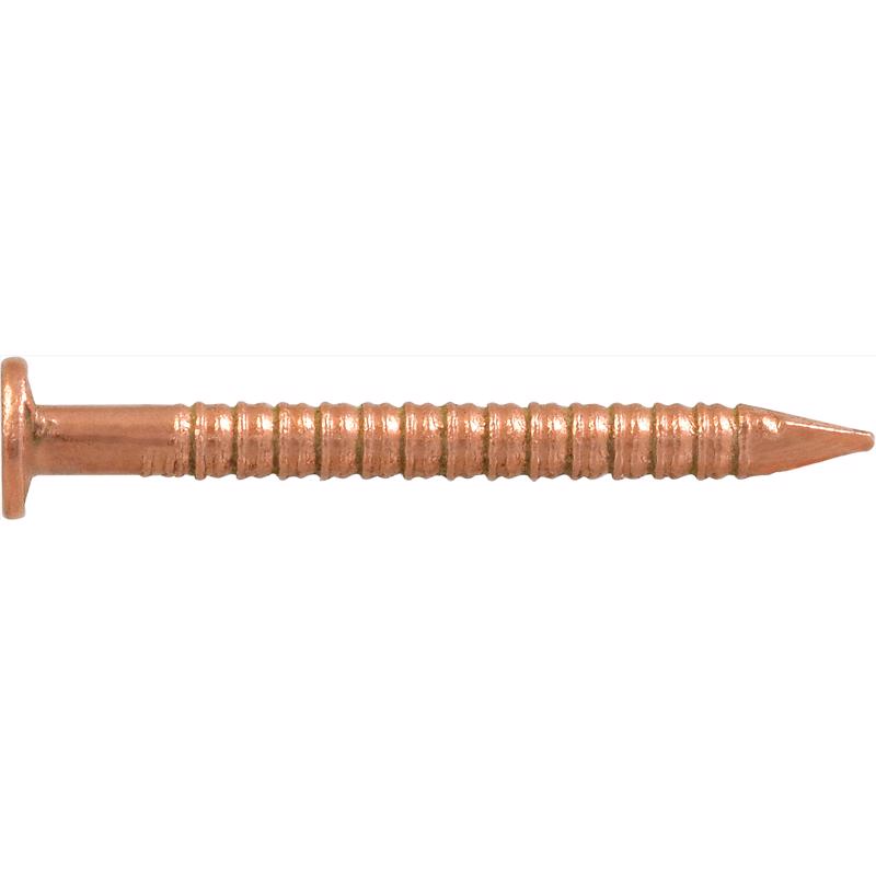 HILLMAN Anchor Wire 1 in. Boat Bronze Steel Nail Flat Head 2 oz