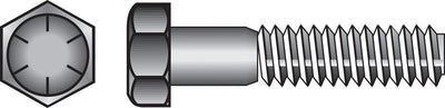HILLMAN 1/2 in. D X 3 in. L Heat Treated Steel Hex Head Cap Screw 50 pk