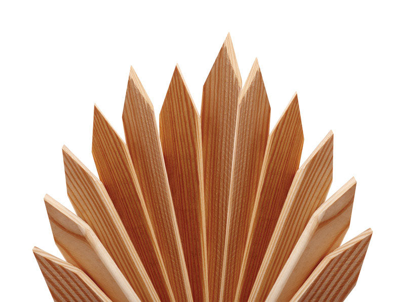 Universal Forest 2 in. X 2 in. W X 24 in. H Wood Grade Stake