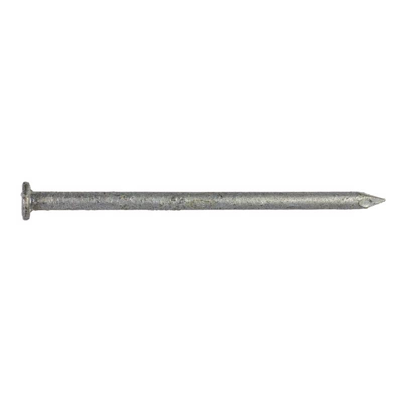Simpson Strong-Tie 10D 3 in. Wood Joiner Hot-Dipped Galvanized Steel Nail Round Head 5 lb