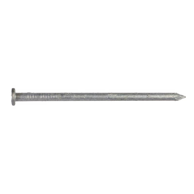 Simpson Strong-Tie 16D 3-1/2 in. Wood Joiner Hot-Dipped Galvanized Steel Nail Round Head 5 lb