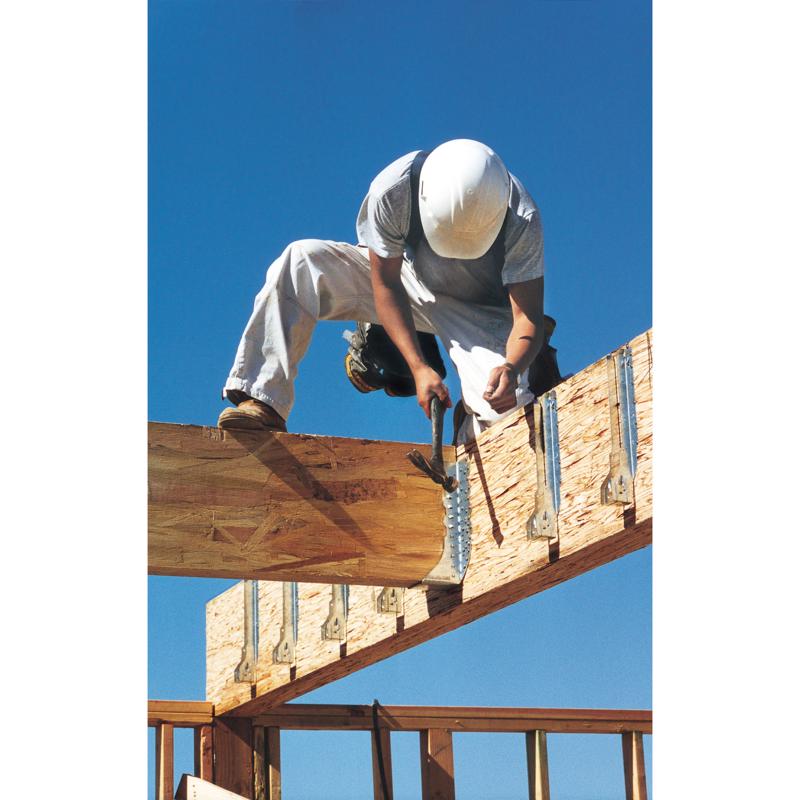 Simpson Strong-Tie 16D 3-1/2 in. Wood Joiner Hot-Dipped Galvanized Steel Nail Round Head 5 lb