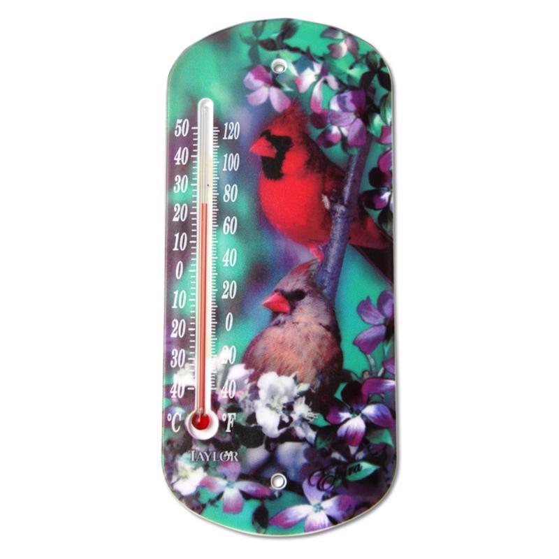 Taylor Bird Design Tube Thermometer Plastic Multicolored 8 in.