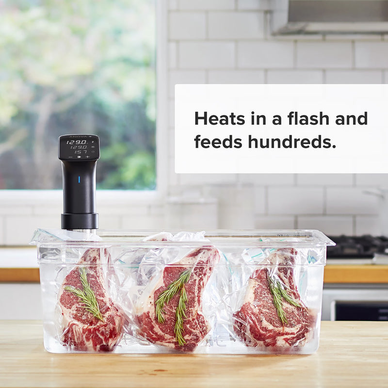 Anova 16 qt Black/Silver Stainless Steel Programmable Sous Vide Immersion Cooker