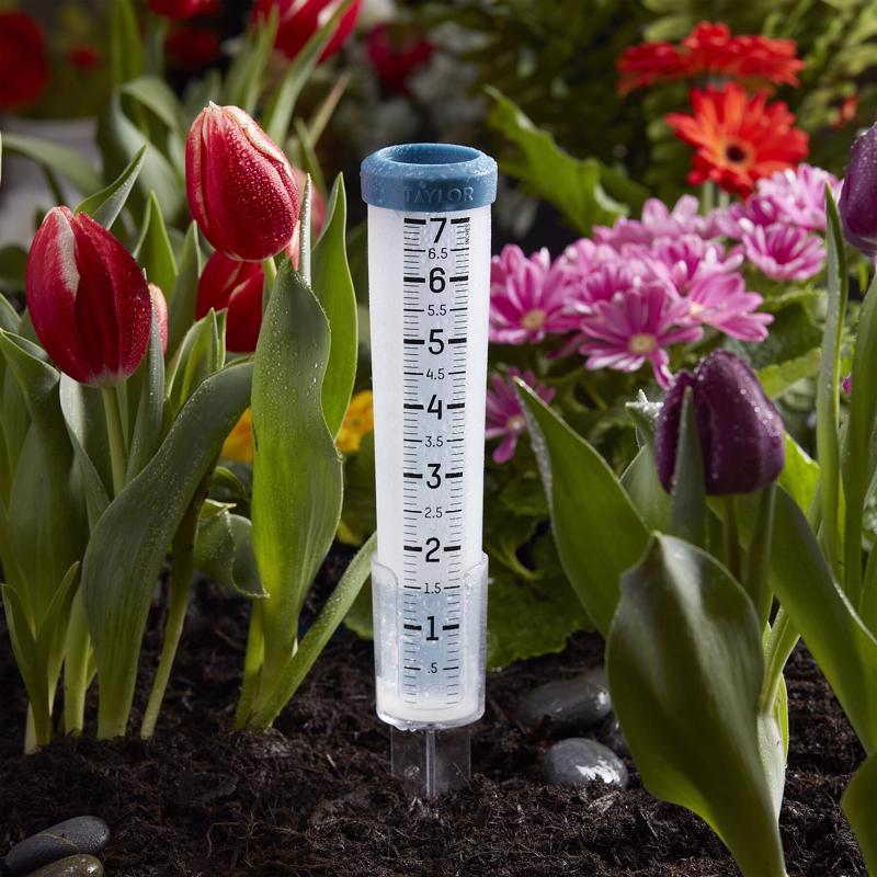 Taylor Rain Gauge Stake 2 in. W X 12 in. L