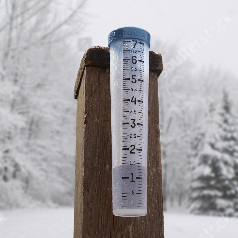 Taylor Rain Gauge Stake 2 in. W X 12 in. L