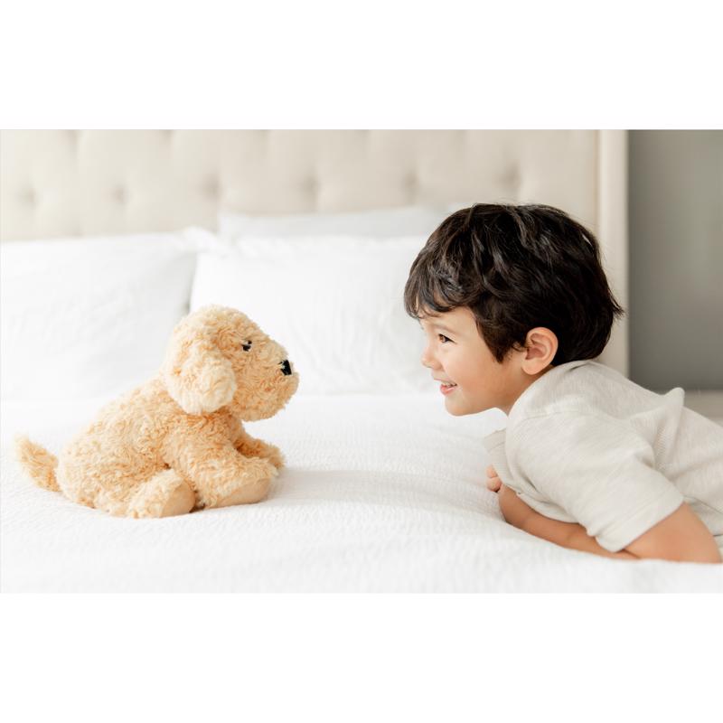 Warmies Dog Stuffed Animals Brown
