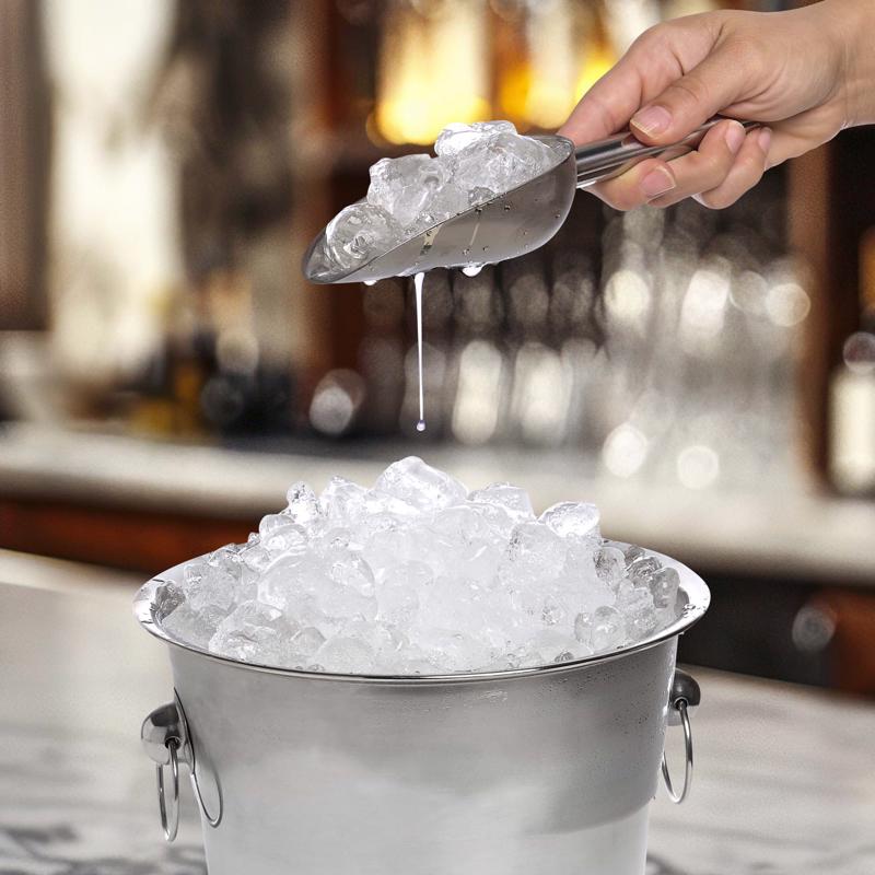 HIC Kitchen Stainless Steel Ice Scoop