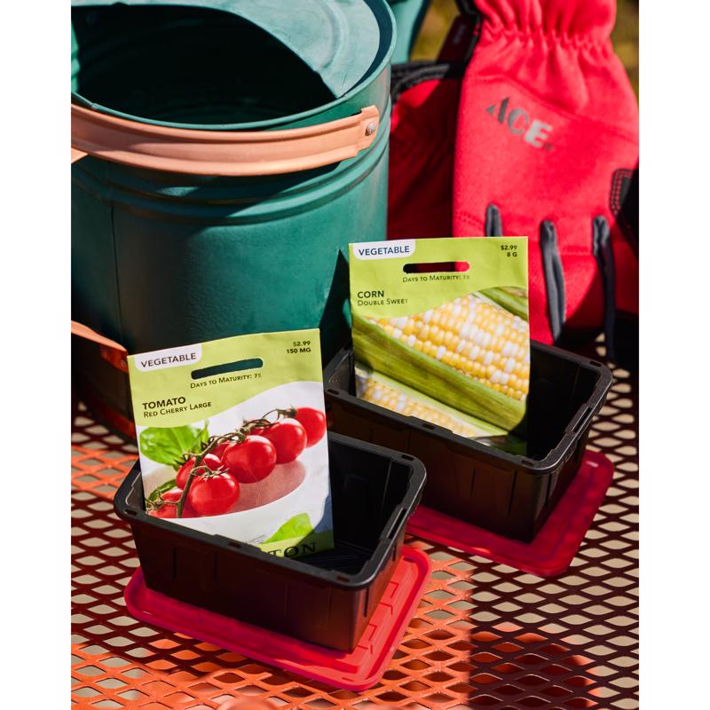 Mini Bin Black/Red Storage Tote 2.44 in. H X 3.31 in. W X 4.81 in. D Stackable