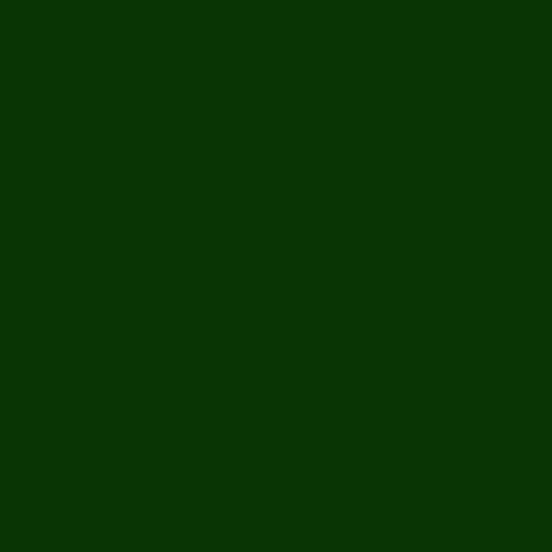 Flex Seal Family of Products Flex Seal Green Rubber Spray Sealant 14 oz