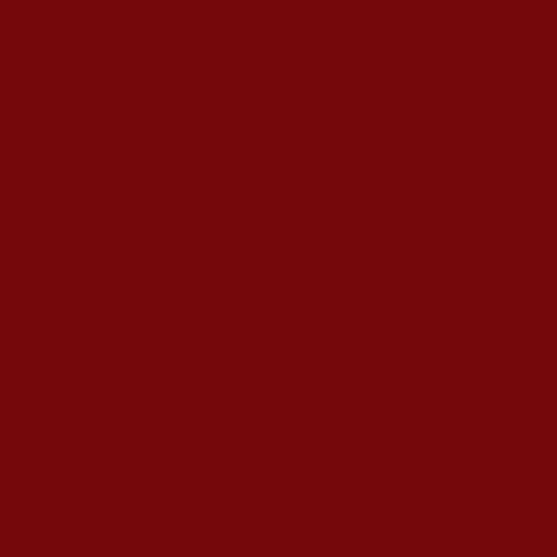 Flex Seal Family of Products Flex Seal Red Rubber Spray Sealant 14 oz