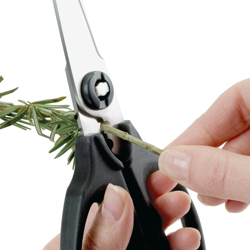 OXO Stainless Steel Kitchen Scissors