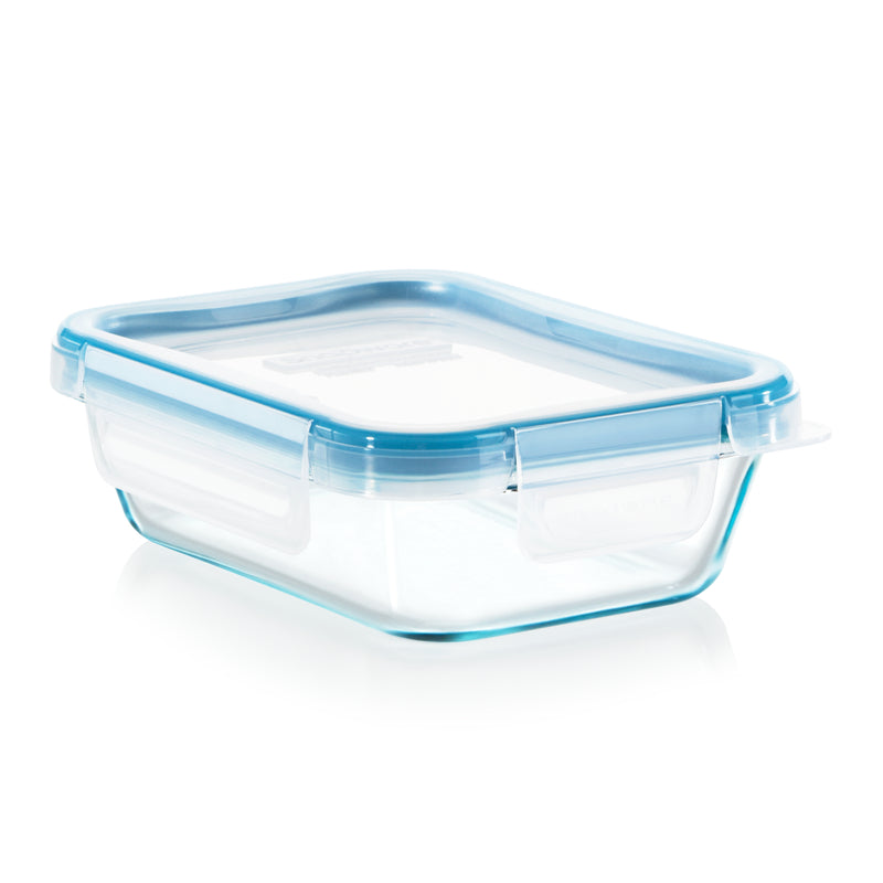 Snapware Total Solution 2 cups Clear Food Storage Container