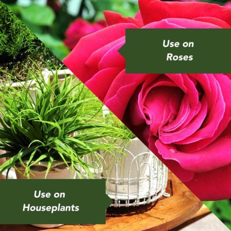 NutriOne Essence Granules Flowers and Vegetables Plant Food 10.6 oz