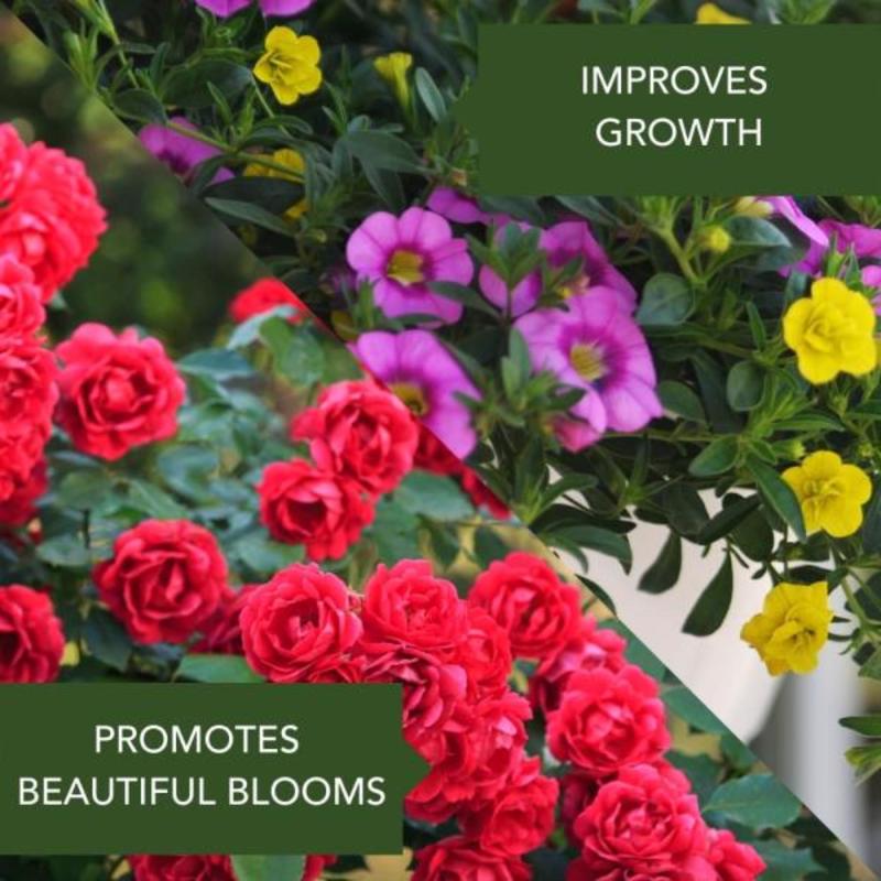 NutriOne Essence Granules Flowers and Vegetables Plant Food 10.6 oz