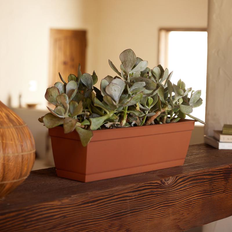 Bloem Dura Cotta 5.75 in. H X 24 in. W X 7.5 in. D Plastic Window Box Terracotta