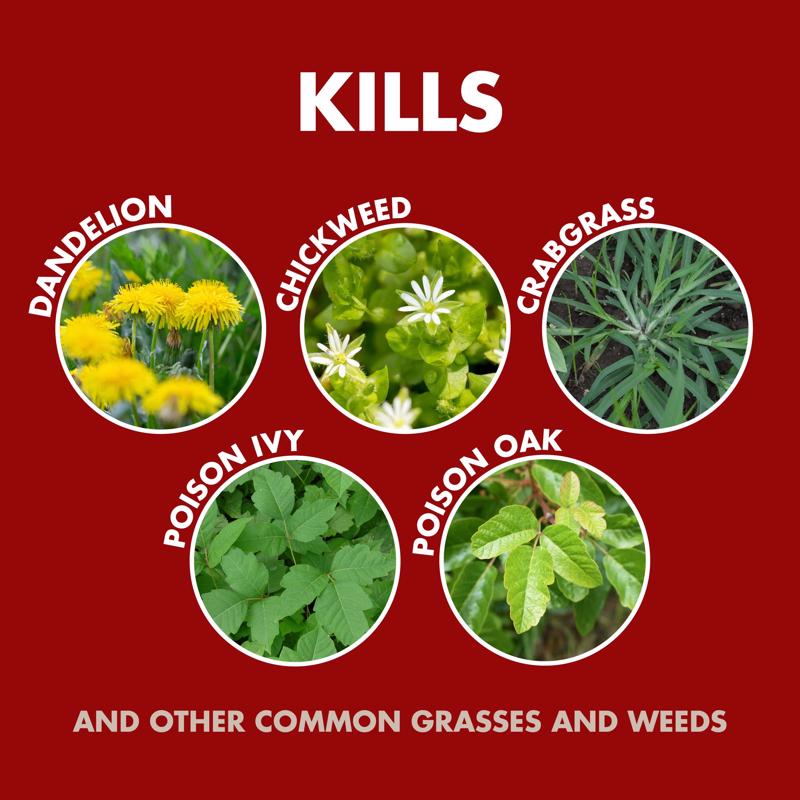 Spectracide Weed and Grass Killer RTU Liquid 64 oz
