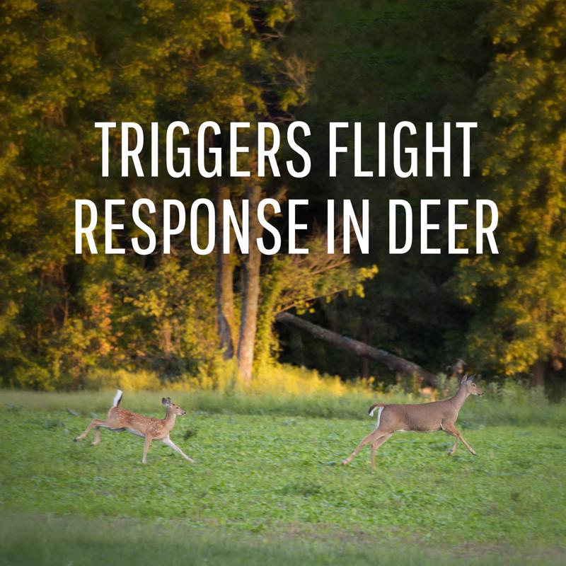 Safer Brand Deer Off Repellent Station Stake For Deer 6 pk