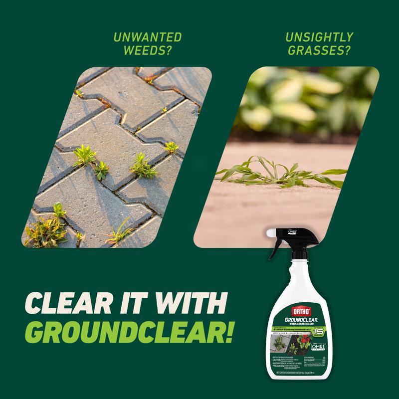 Ortho GroundClear Weed and Grass Killer RTU Liquid 24 oz