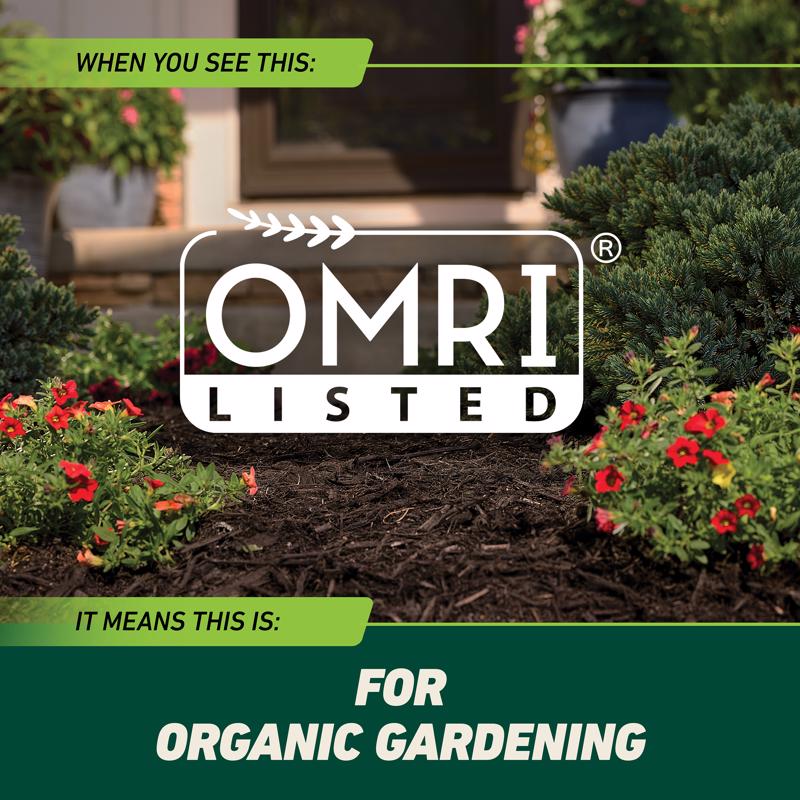 Ortho GroundClear Weed and Grass Killer RTU Liquid 24 oz