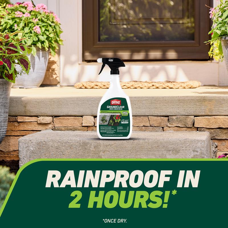 Ortho GroundClear Weed and Grass Killer RTU Liquid 24 oz