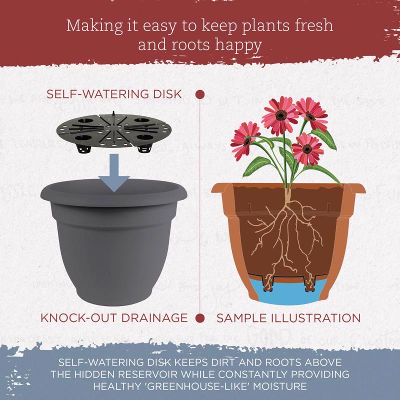 Bloem Ariana 8.5 in. H X 11 in. W X 10 in. D Plastic Traditional Planter Charcoal